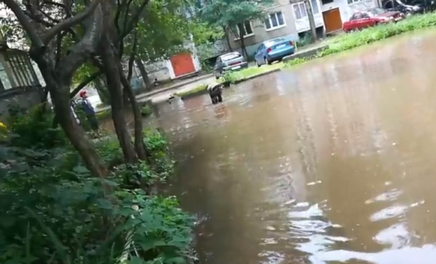 Вода, бьющая из люка, затопила дворы на Чапаева