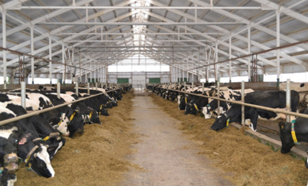 Кировский молочный комбинат занимает пятое место по объёму производства молока в сельхозорганизациях