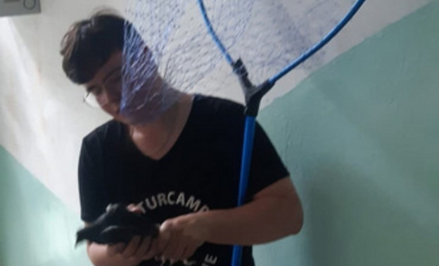 Кировчанин поймал голубя в подъезде жилого дома