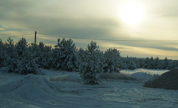 Постепенное потепление и снегопад: погода в Кирове 12 декабря