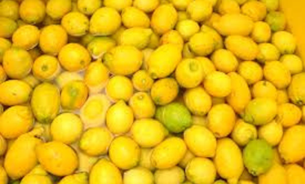 В Кирове почти тонну заражённых лимонов допустили к продаже