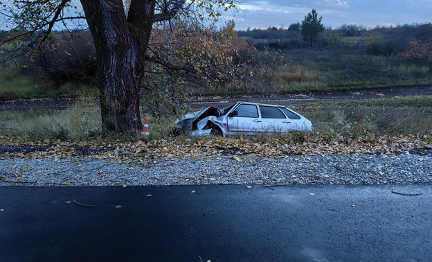 В Вятских Полянах нетрезвый водитель ВАЗа влетел в дерево