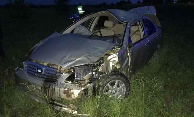 В Верхошижемском районе иномарка вылетела в кювет: водитель погиб
