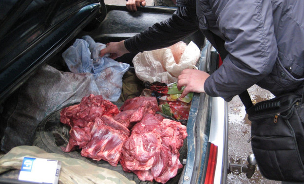 Жителя Свечинского района осудят за убийство лося