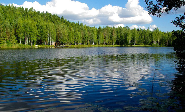 В Орловском районе чиновники незаконно отдали в аренду участок земли с рекой и водохранилищем