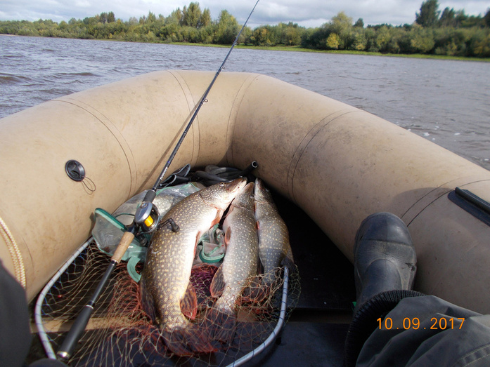 Новости с водоёмов. Большой отчёт с рыбалки кировчан в выходные 9 - 10 сентября