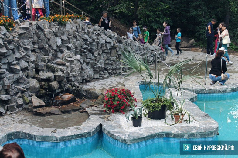 В Кирове открылся обновлённый Ботанический сад. Только фото