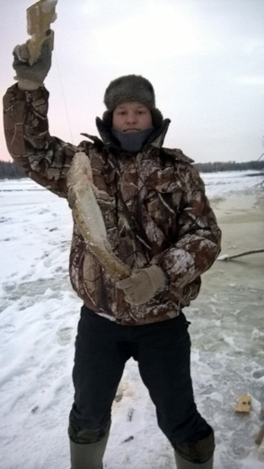 Большой улов окуня и первые провалившиеся под лёд на Вятке. Еженедельный отчёт о рыбалке в Кировской области