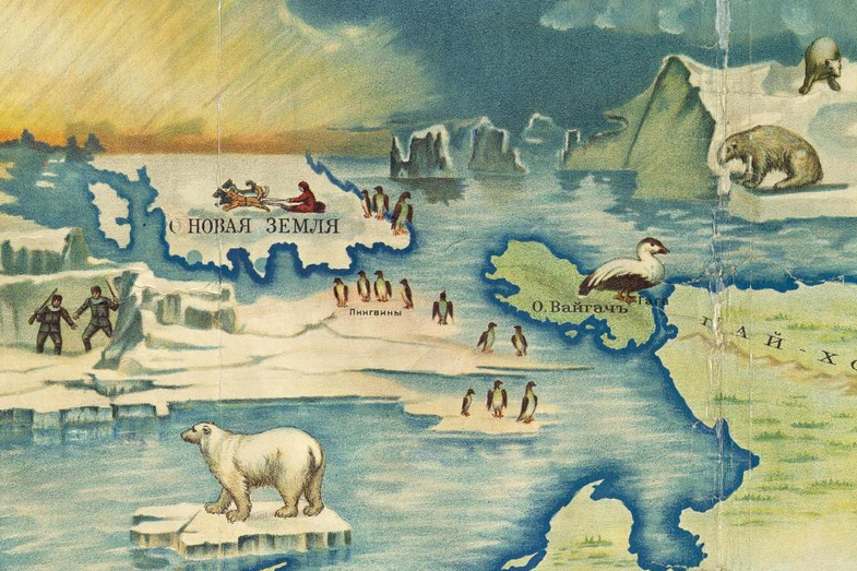 Как появились пингвины на Русском Севере?