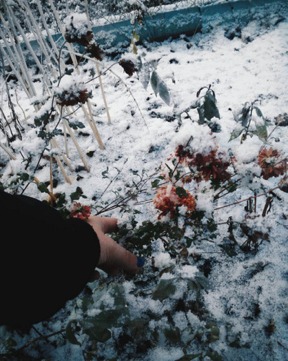 Первый снег в Кирове. Фото из соцсетей