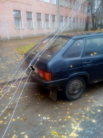 В Кирове сильный ветер повалил несколько деревьев на машины и провода