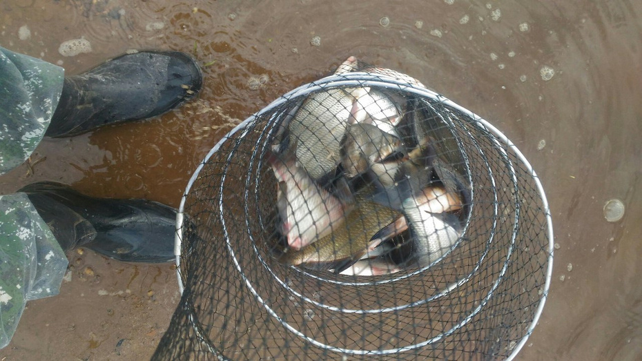 Новости с водоёмов. Большой отчёт с рыбалки кировчан в выходные (фото, видео)