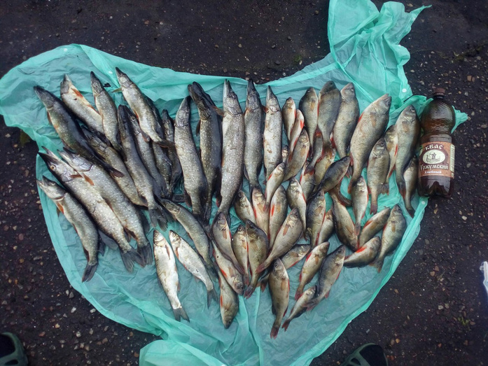 Новости с водоёмов. Большой отчёт с рыбалки кировчан в выходные 8-9 июля. Фото и видео