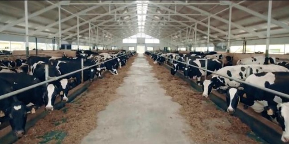 В 2018 году «Кировский молочный комбинат» обеспечит каждого жителя области 191 литром молока