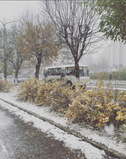 Первый снег в Кирове. Фото из соцсетей