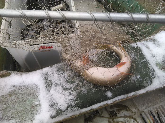 Рыбалка с тонкого льда и экстрим на закрытии летнего сезона. Еженедельный отчёт с рыбалки в Кировской области