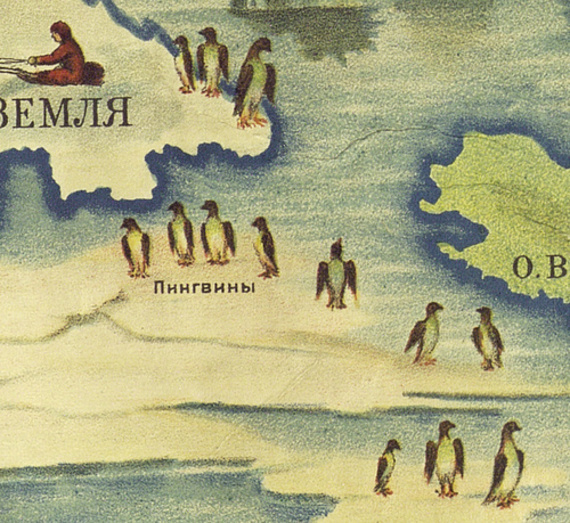 Как появились пингвины на Русском Севере?