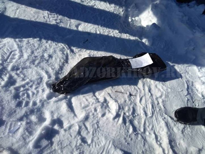 В пригороде Кирова задержали охотников-браконьеров на снегоходах