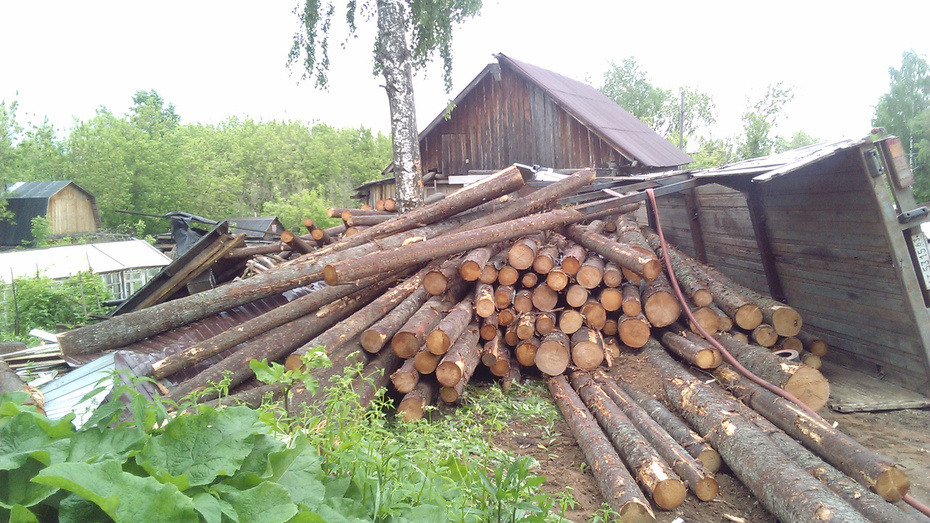 «У лесовоза отказали тормоза». Репортаж с места страшного ДТП на Спасской (фото и видео)
