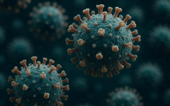 Вирусолог описала симптомы вируса Нипах