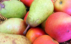 В Кирове раздавили больше тонны санкционных груш, яблок и капусты
