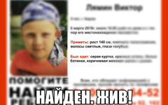 Пропавшего в Кирове 9-летнего мальчика нашли