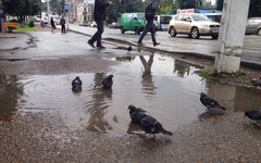 Погода в Кирове. Во вторник будет сыро и холодно