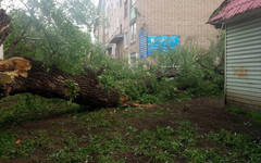 В Кировской области ураган повалил деревья и оборвал линии электропередач