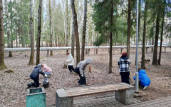 В Кирове больше 500 человек приняли участие в городских субботниках
