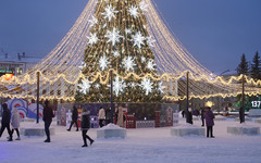 Депутат рассказала, будет ли 31 декабря выходным днём