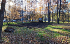 В парке Гагарина обустраивают новую площадку для выгула собак