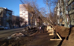 На Милицейской дерево рухнуло на провода из-за раскопок