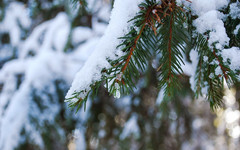 Погода в Кирове: ожидается потепление и небольшой снег