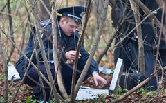 В лесах Кировской области нашли труп женщины