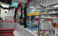 Аптеку в кировском микрорайоне Васильки организуют до июня 2023 года