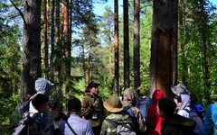 В Кировской области появится новый туристический маршрут