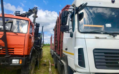 В Тужинском районе на водителя автомобиля «КамАЗ» упало бревно