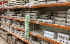 ФАС следит за ценами на яйца