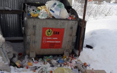 Шульгин предложил выкидывать мусор под дверь коммунальщикам