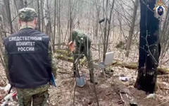 В лесу Кировской области раскопали труп