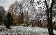 Погода в Кирове. В пятницу снова ожидается снег