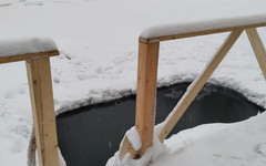 Власти Кирова просят отказаться от купания в дендропарке