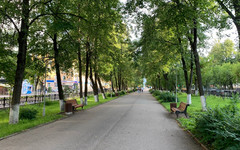 Пятница в Кирове: туман ночью, тепло днем