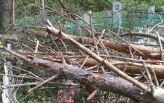 «Одинокая старушка плакала возле поломанного памятника»: в Демьяново во время грозы кладбище завалило деревьями