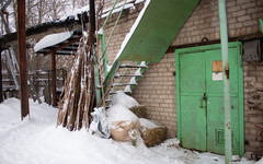 Большое маленькое гнездо: кировские волонтёры ищут просторное помещение для выхаживания диких животных