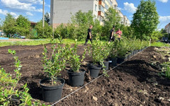 На улице Егоровской в Кирове начали обустраивать сквер