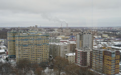 В Госдуме предупредили о новых схемах мошенников перед Днем матери