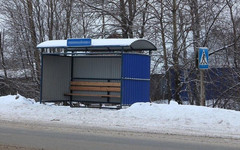 Прокуратура добилась обустройства безопасной остановки в Лузе