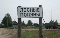 «Поставщики не понимают, почему форс-мажору четыре года»: в Кировской области хотят, но уже несколько лет не могут построить лесопромышленный комплекс