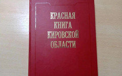 В Кировской области издадут региональную Красную книгу